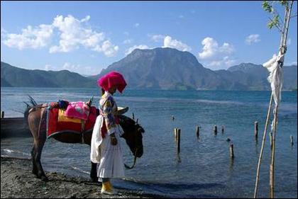 �߻� �o���� Ħ����  ��Ф