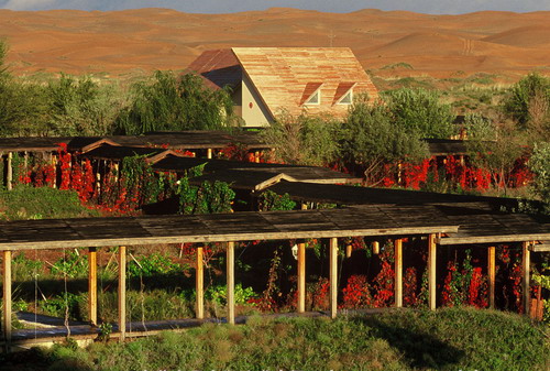 ��(n��i)�ɹ�������ɳĮ�ȼپƵ�