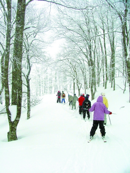 ��ѩ ���(y��ng) ��ţɽ ��ѩ��(ch��ng)