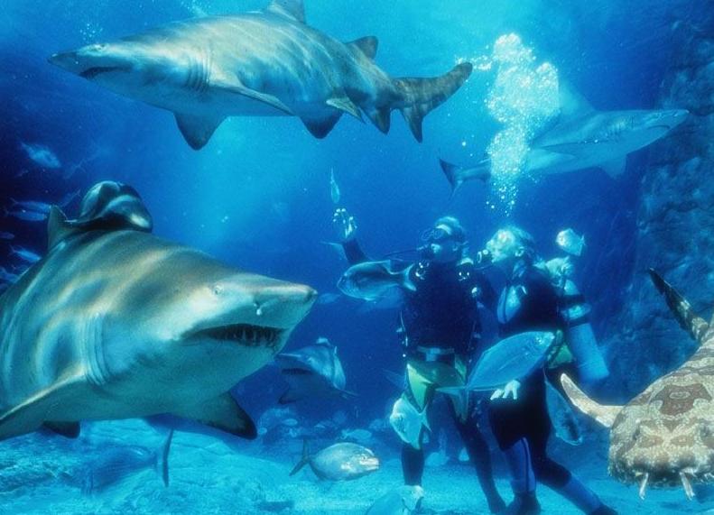 �Ϻ��L�L(f��ng)��������