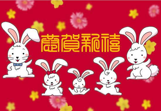 �´������DƬ