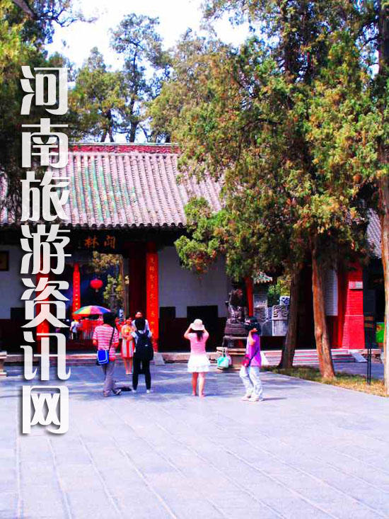 �P(gu��n)��