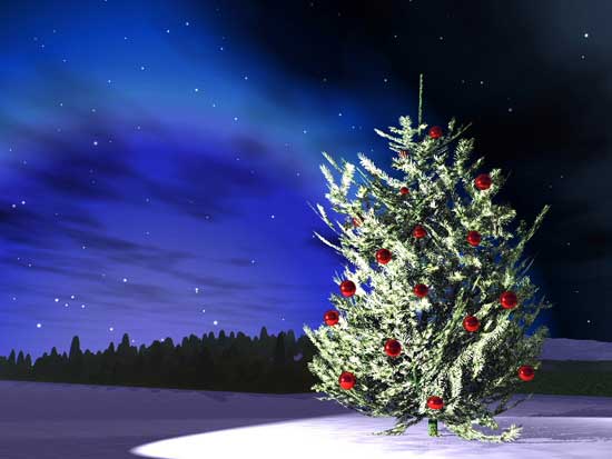 ��Ư����ʥ�Q��