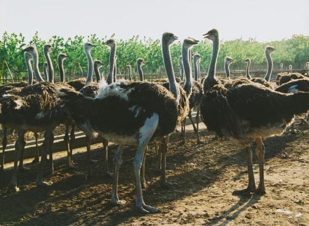 �����r�B(ni��o)�Θ�(l��)�@ �r�B(ni��o)