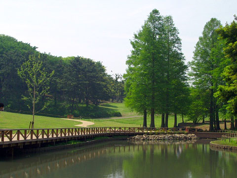 �R��ɽ����ɭ�ֹ��@