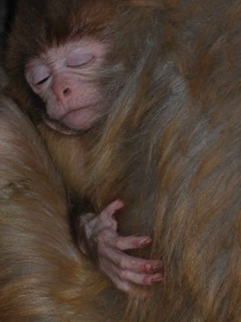 ���M(j��n)̫��ɽˮ�꣺�����