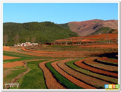 �|���t����