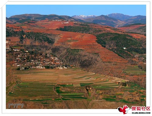 �|���t����