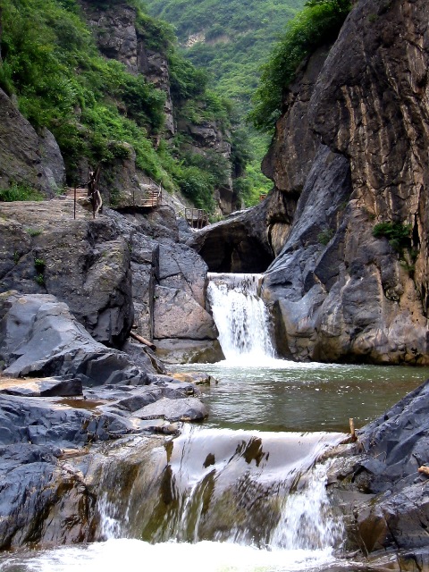 ԥ����{��