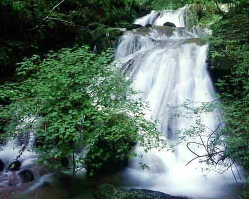 ������ɽʥˮ�������_ɽ