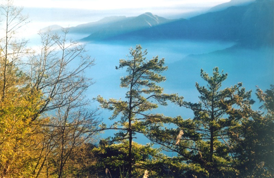 ���u�_(t��i)��