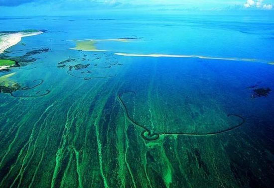 ���u�_��