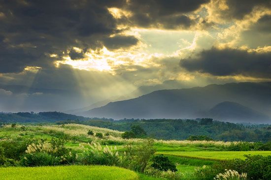 �_�����u