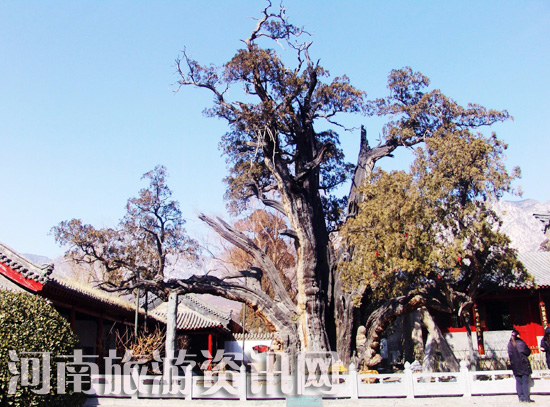 ���(y��ng)��(sh��)Ժ  ����܊��