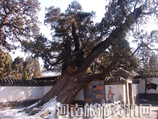 ���(y��ng)��(sh��)Ժ ��܊��