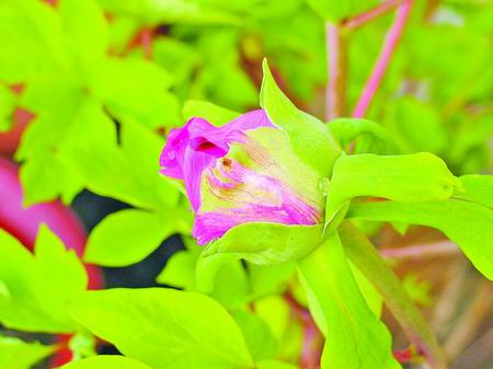 ����(ji��) ���� ���ĵ��