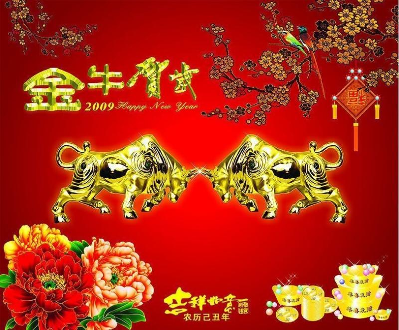 ţ��DƬ  ��ţ�R�q