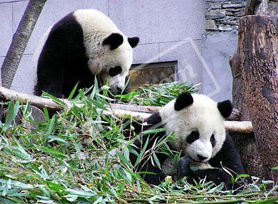 �F(tu��n)�F(tu��n)�A�A