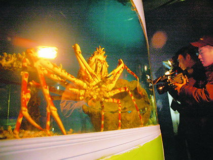 ���͚���з