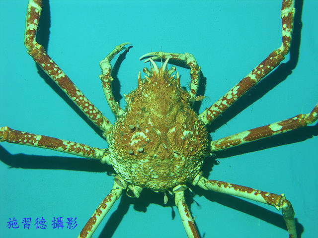 ����֩��з