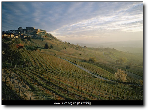 ���ΔzӰ  �׺ξ���(g��u)�D 