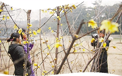 ���� ��ɳ�����@ �D÷ �p�� ���� 