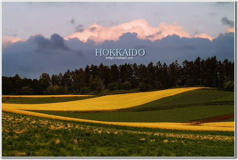 �����\��_�� �⾰�� �ο� ����(ji��) ��������· �L(f��ng)��