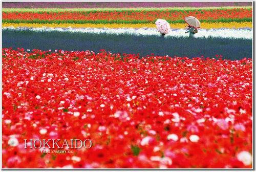 �����\��_�� �⾰�� �ο� ����(ji��) ��������· �L(f��ng)��