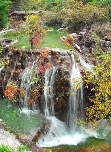 ���� ��{�� �nϪ ˮ�� �ˑB(t��i)�f(w��n)ǧ ���ﮋ�� 