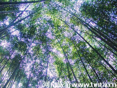 ���`կ ����@ ��������