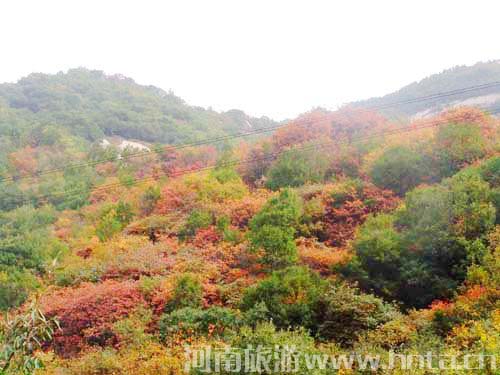 ���`կ ��������