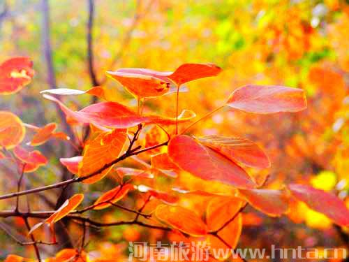 �������� ���`կ �t�~