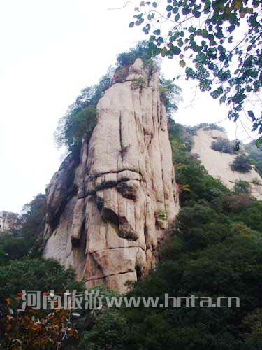 ����(j��)���� ���`կ