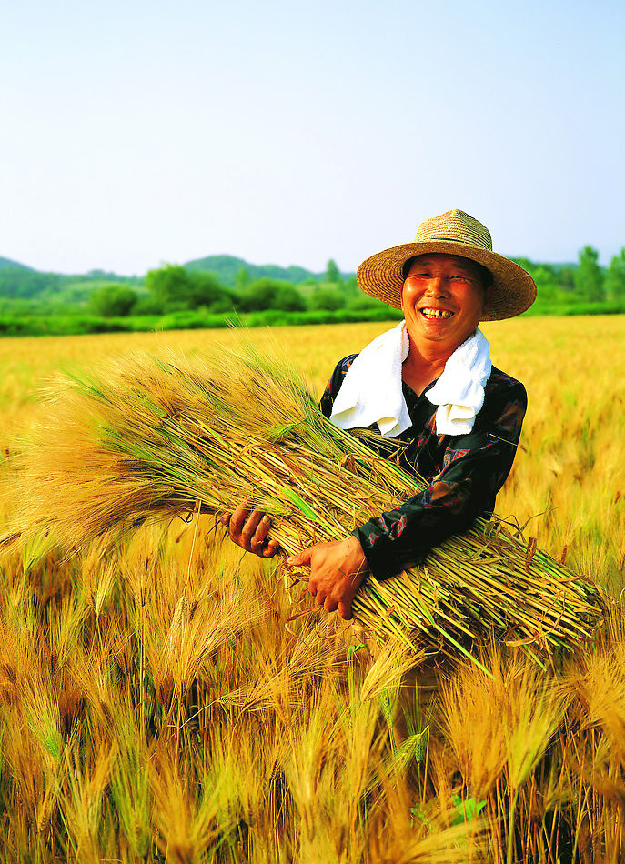 �r(n��ng)�� �r(sh��)��