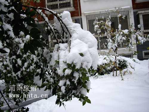 09���ݵ�һ��ѩ