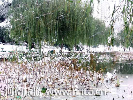 2009�� ���� ��һ��ѩ 