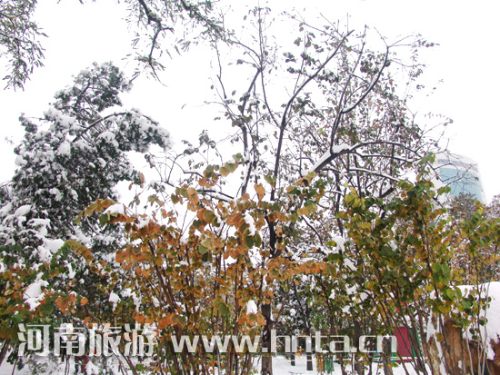 2009�� ���� ��һ��ѩ 