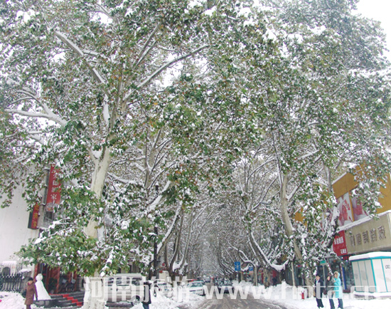 2009�� ���� ��һ��ѩ 