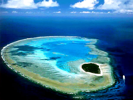 �Ĵ�����