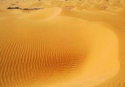 �Ї��������ɳĮ