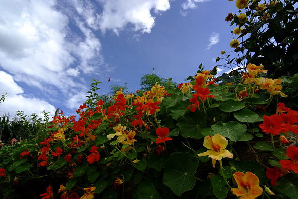 �������˹� ���Ļ���