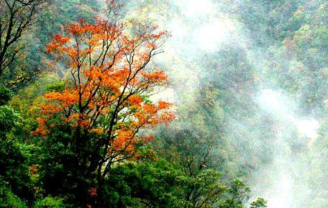 ���Fɽ �t�~ ���@�� �_��ݱ��