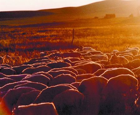 ������˹̫ 360�� �L(f��ng)�� 