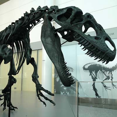 �^�p������ʯ