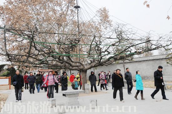 ������ԭ���ο� ̫���