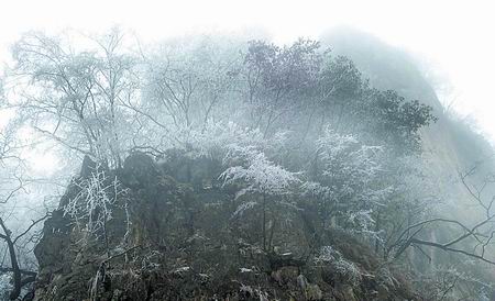 �匎�h �ܶ�ɽ�ÎX���� �Fڡ���^ ���