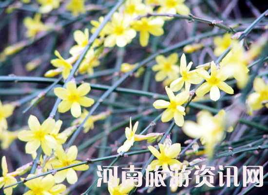 �׾��� ��ӭ����ٛ������ ������ ���Gɽ���@ ӭ����