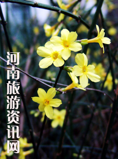 �׾��� ��ӭ����ٛ������ ������ ���Gɽ���@ ӭ����