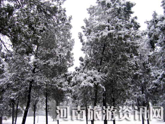 �Ƿ� �����R���^(q��) ѩ�� 2009