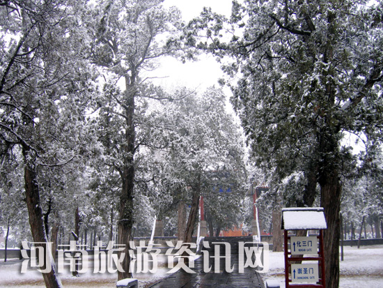 �Ƿ� �����R���^(q��) ѩ�� 2009